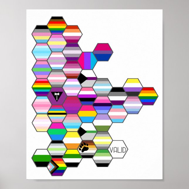 Honeycomb LGBT Prix Flag Poster (Vorne)