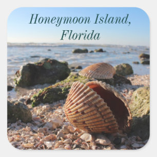 Honeymoon Island Florida Beach Seashell Quadratischer Aufkleber