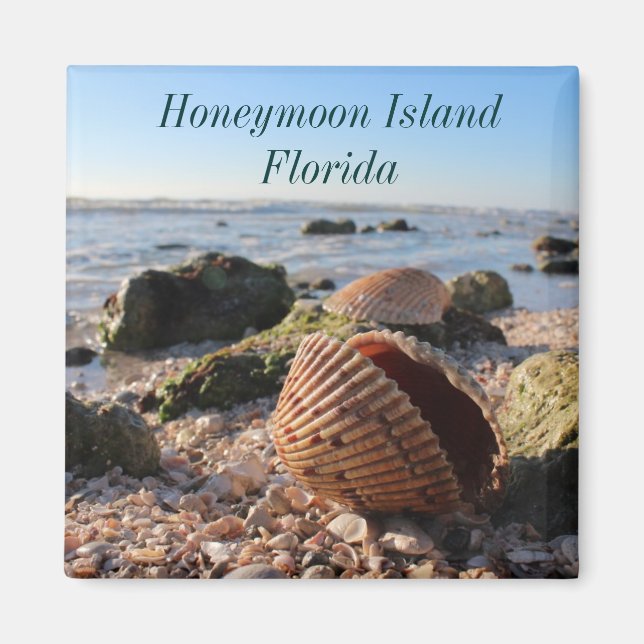 Honeymoon Island Florida Romantic Seashells Magnet (Vorne)