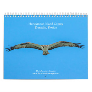 Honeymoon Island Osprey 2025 Kalender