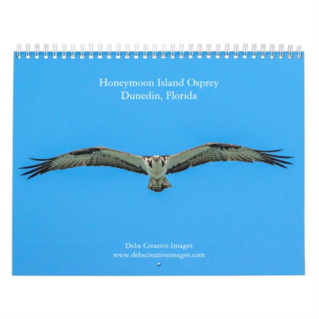 Honeymoon Island Osprey 2026 Kalender (Titelbild)