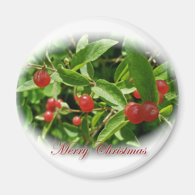 Honeysuckle Berries Christmas Magnet (Vorne)