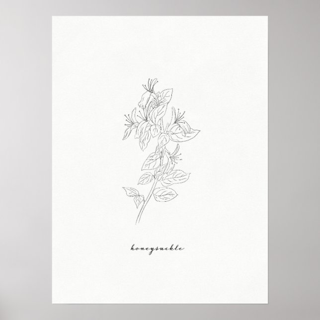 Honeysuckle Birth Blume Print Poster (Vorne)