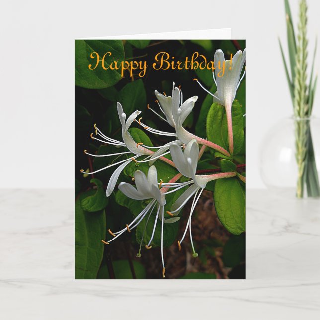 Honeysuckle Birthday Card Karte (Vorderseite)