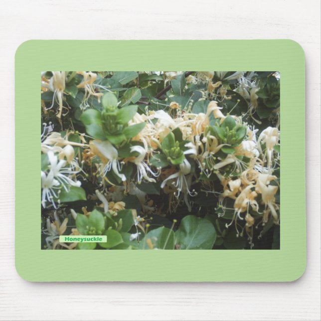 Honeysuckle Blooms Mousepad (Vorne)