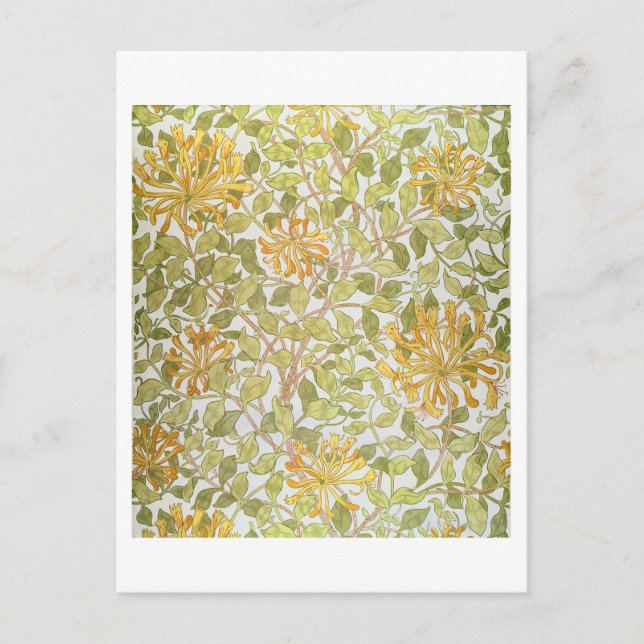 "Honeysuckle"-Design, 1883 Postkarte (Vorderseite)