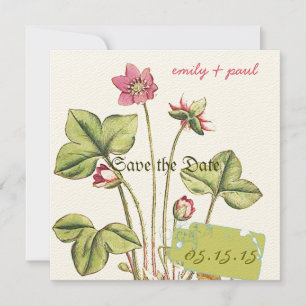 Honeysuckle Pink Blume Botanisch Save the Date