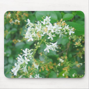 "Honeysuckle Sweet" Mousepad
