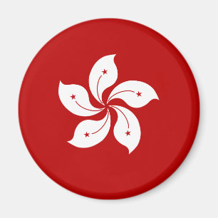 Hong Kong-Qualitäts-Flagge Magnet