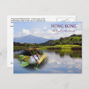 Hong Kong Wetlands Park Travel Post Card Postkarte