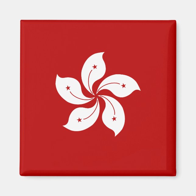 Hongkong Hochwertige Flagge Magnet (Vorne)