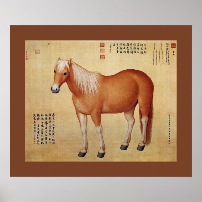 Hongyuzuo ~红 玉~ zehn Steeds ~Giuseppe Castiglione  Poster (Vorne)