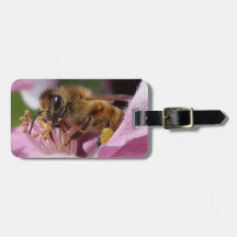 Honig-Biene auf Crabapple Blüte Ihr Name