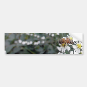 Honig Bienen Honigbiene Wildblumen Blumen Gänseblü Autoaufkleber