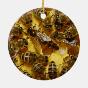 Honig-Bienen im Bienenstock mit Königin in der Keramik Ornament