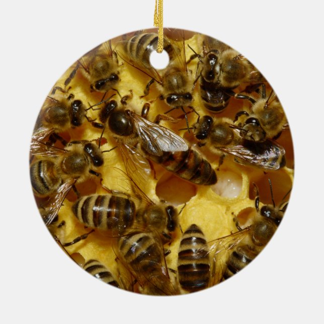 Honig-Bienen im Bienenstock mit Königin in der Keramik Ornament (Hinten)