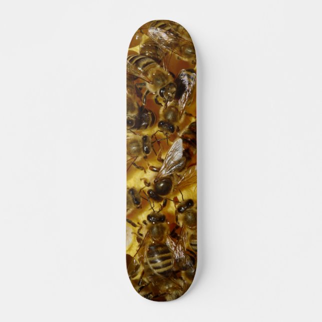 Honig-Bienen im Bienenstock mit Königin in der Skateboard (Vorne)
