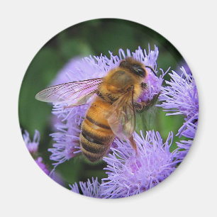 Honig-Bienen-Magnet Magnet