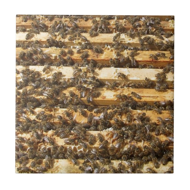 Honig-Bienen überall Fliese (Vorderseite)