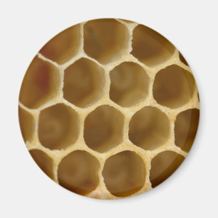 Honig-Kamm-Magnet Magnet