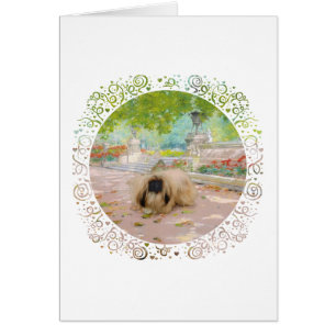 Honig Pekingese in floraler Kulisse