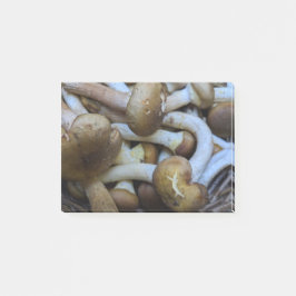 Honig-Pilze, Apiata, Armillaria, opyenok Post-it Klebezettel