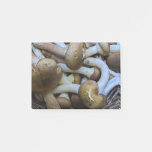 Honig-Pilze, Apiata, Armillaria, opyenok Post-it Klebezettel