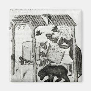 Honig sammeln magnet