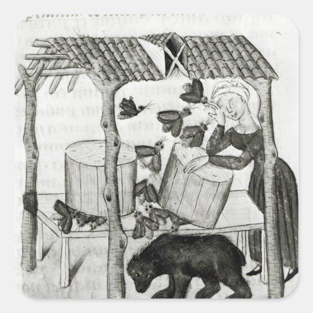 Honig sammeln quadratischer aufkleber (Vorderseite)