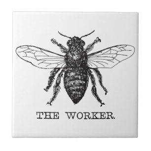 Honig Schwarze Hummel Arbeiterbiene Fliese