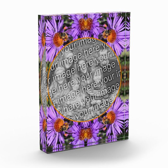 Honigbiene auf Aster-Blume Fügen Sie Ihre Fotoblock (Links)