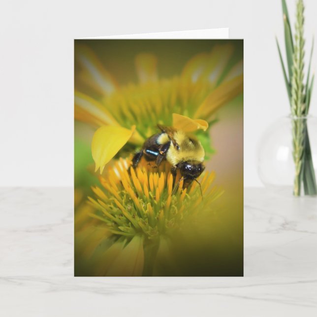 Honigbiene auf der Blume, Karte (Vorderseite)