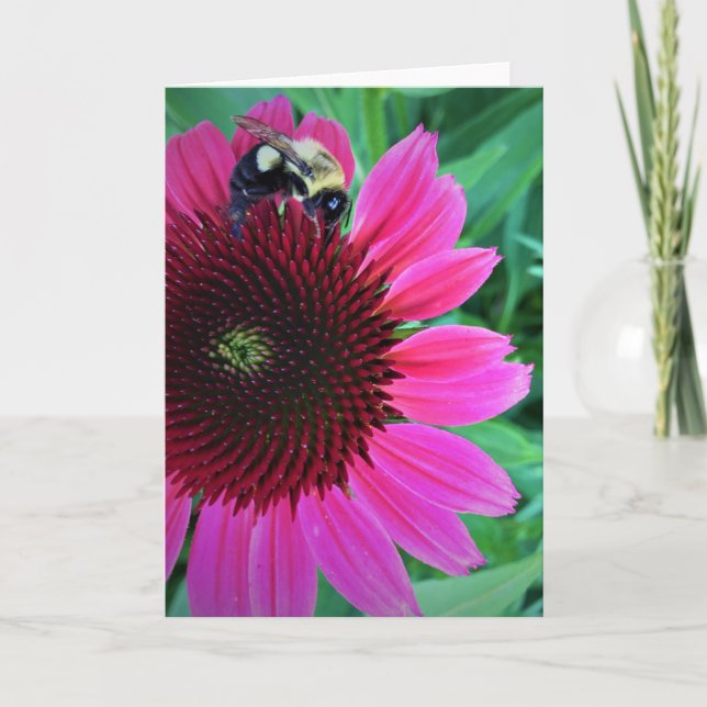 Honigbiene auf der Blume, Karte (Vorderseite)