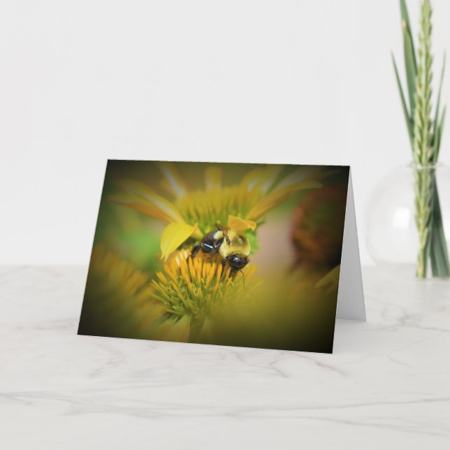 Honigbiene auf der Blume, Karte (Vorderseite)