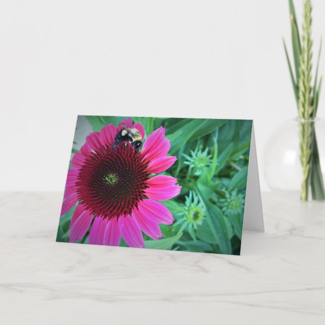 Honigbiene auf der Blume, Karte (Vorderseite)