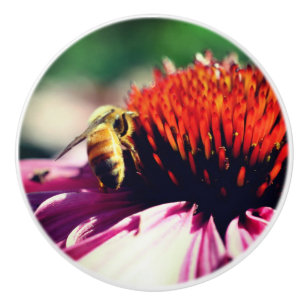 Honigbiene auf der Blume Nah Keramikknauf