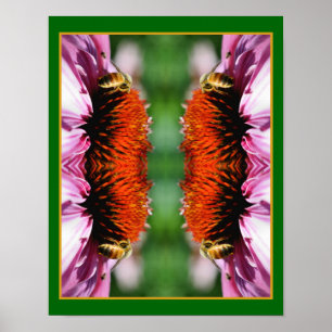 Honigbiene auf Echinacea Daisy Blume Abstrakt Poster