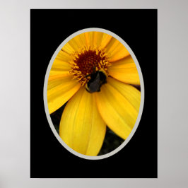 Honigbiene auf einer gelben Blüte Poster