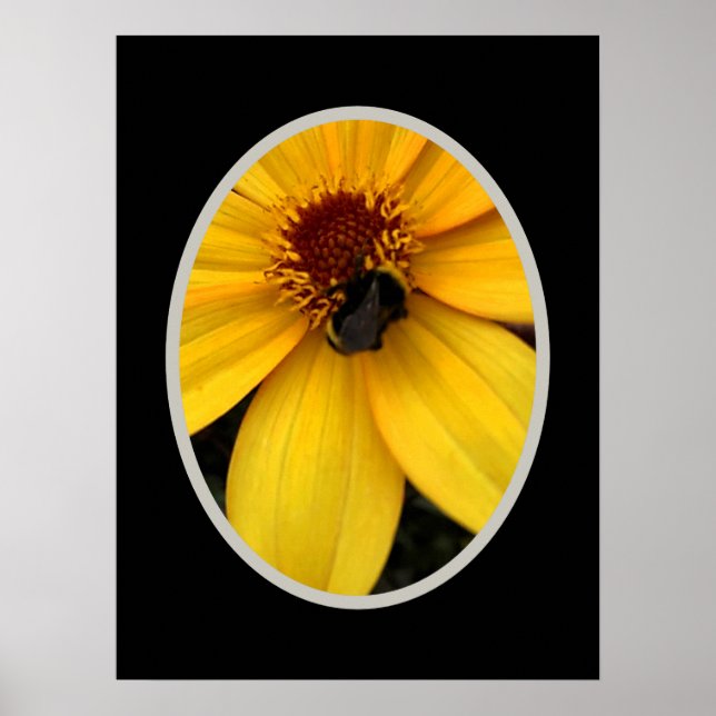 Honigbiene auf einer gelben Blüte Poster (Vorne)