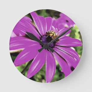 Honigbiene auf einer Lila afrikanischen Daisy Art Runde Wanduhr
