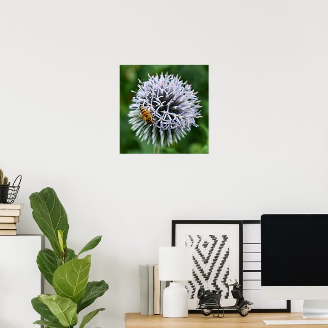 Honigbiene auf Globe Thistle Floral Poster (Heimbüro)