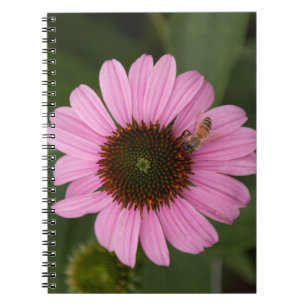 Honigbiene auf Kegelblume Notizblock
