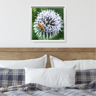 Honigbiene auf Kugel-Distel-Blüte Leinwanddruck