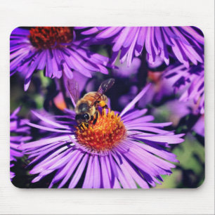 Honigbiene auf Lila Aster-Blume Mousepad