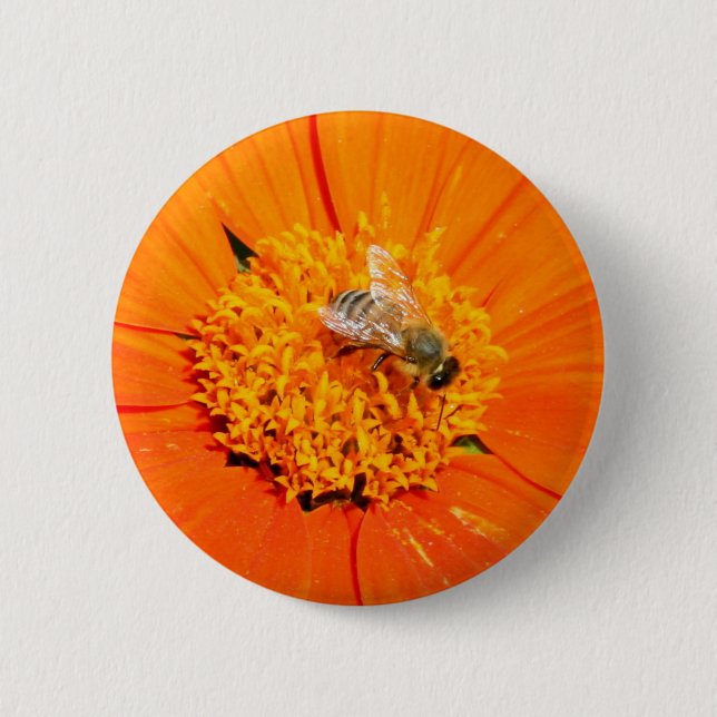 Honigbiene auf orange Blume Button (Vorderseite)