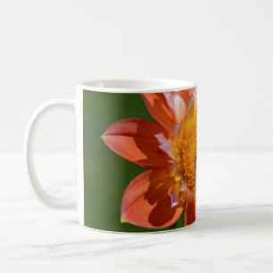 Honigbiene auf orange Dahlie-Blume Tasse