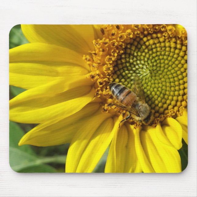 Honigbiene der gelben Sonnenblume Mousepad (Vorne)