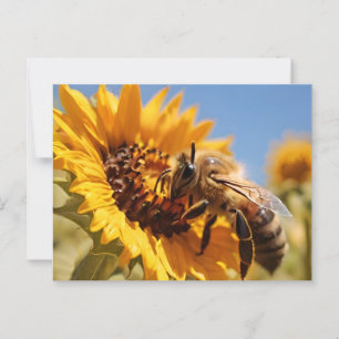 Honigbiene, die Sonnenblume poliniert Postkarte
