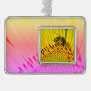 Honigbiene fütternd auf Sonnenblumen Postkartenmet Rahmen-Ornament Silber