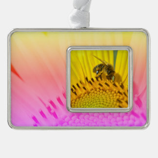 Honigbiene fütternd auf Sonnenblumen Postkartenmet Rahmen-Ornament Silber